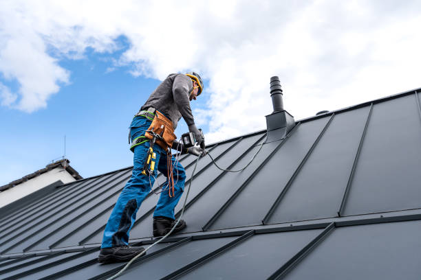 Professional Roofing Services in Coaling, AL